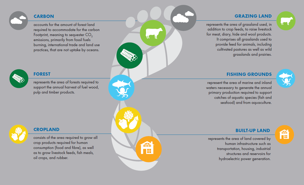 Ecological Footprint components