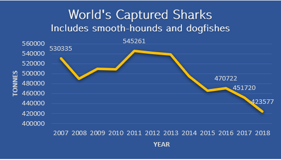 World's Captured Sharks Data