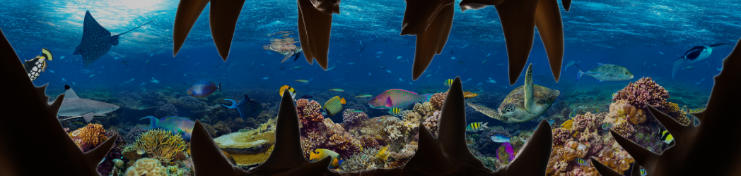 Sight of coral reefs with shark teeth outline